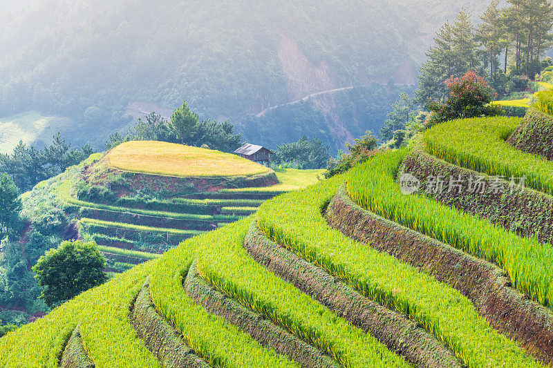 木仓寨奇妙的曲线梯田。Mù仓Chải是Yên Bái省的一个农村地区，在越南东北部地区。山上有许多美丽的梯田。